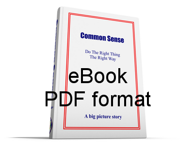 commonsense3d01ebook500px